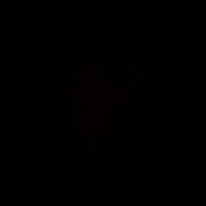 Meet your Posher, Celine